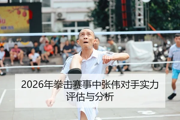 2026年拳击赛事中张伟对手实力评估与分析