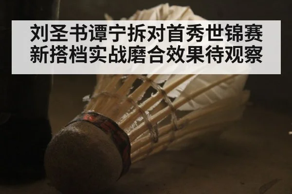 刘圣书谭宁拆对首秀世锦赛新搭档实战磨合效果待观察
